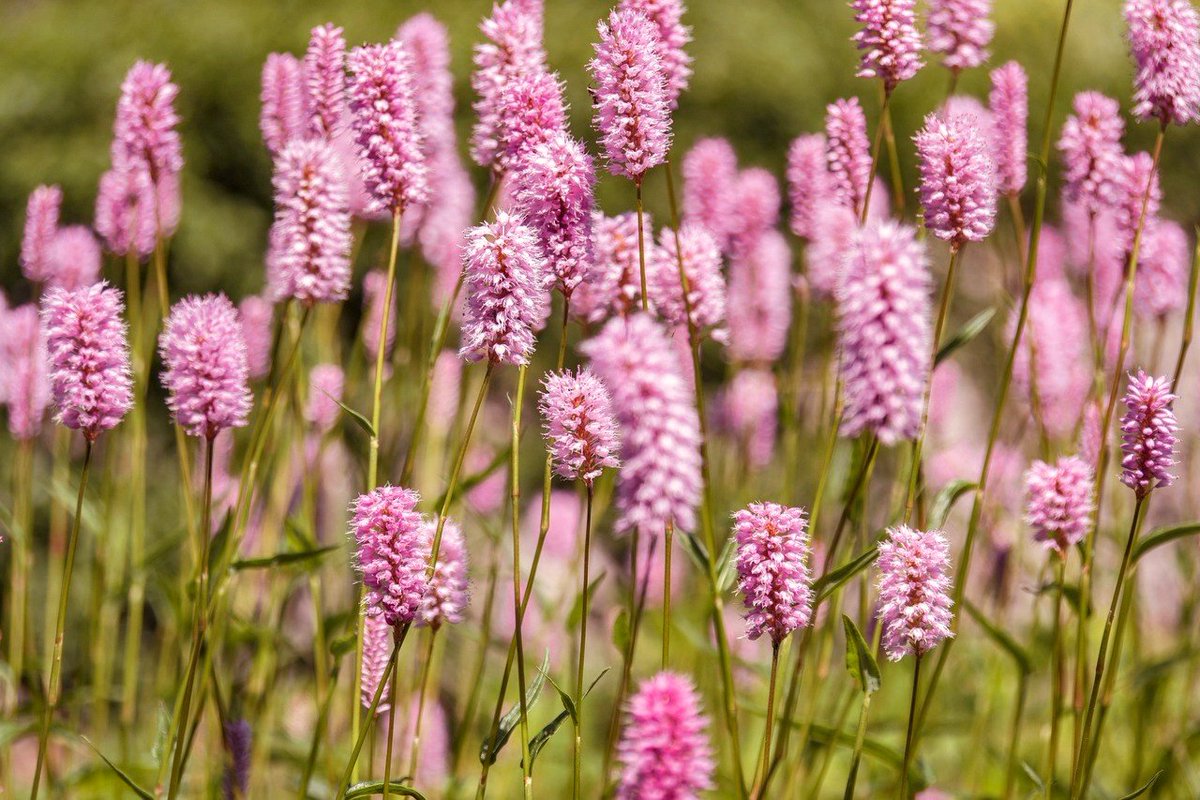 t_a_m_a_ch's tweet image. 皆さんおはたま🍒

昨日、入社から可愛がってきた営業の後輩が今月いっぱいで退社するので挨拶に来ました

明日と明後日は東京営業所らしいので会うのも最後です🥹

人当たりもよく真面目で冗談も通じるホント可愛い奴でした

ちいたまさんにはずっと世話してもらって感謝しかないですと...…