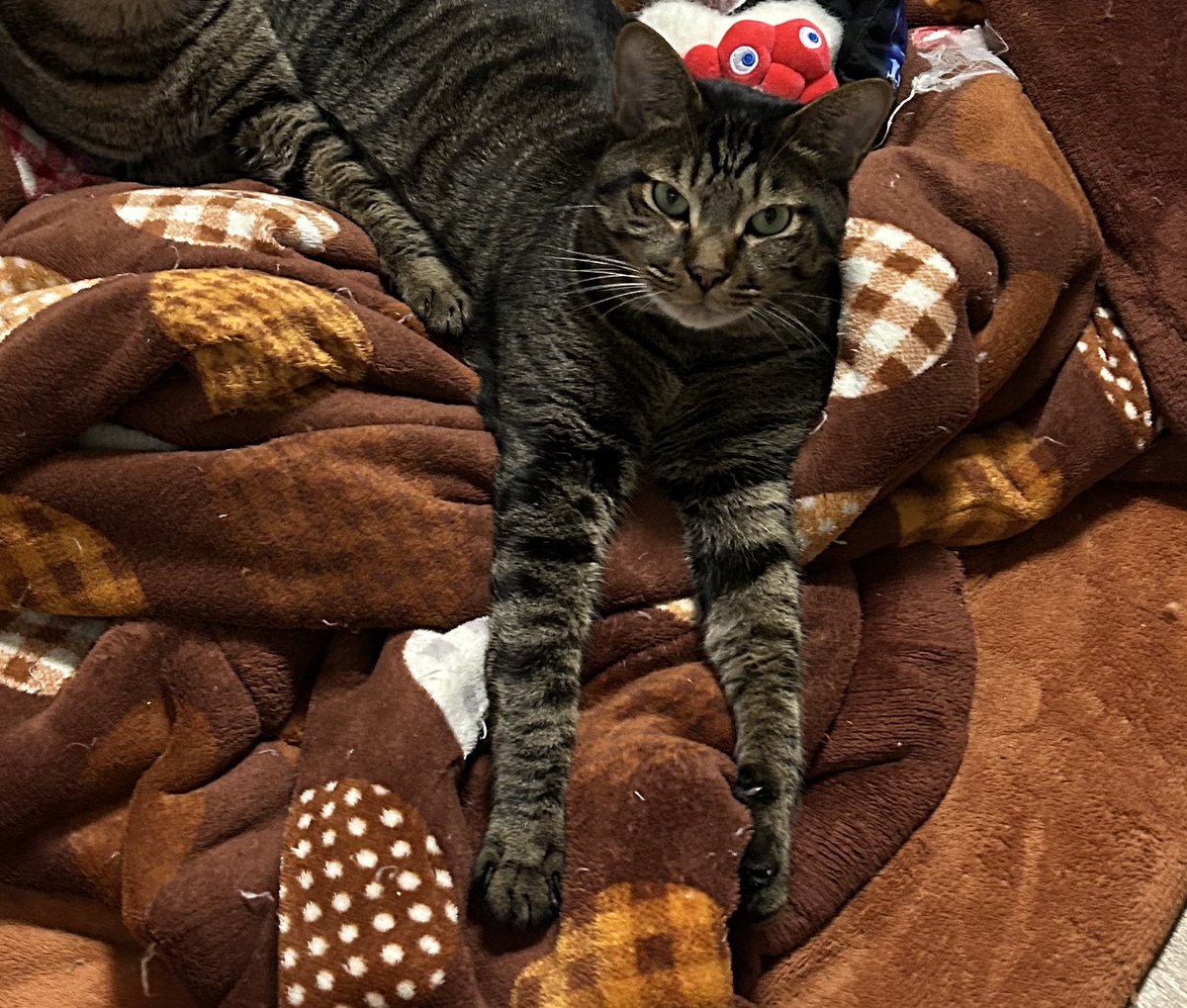 なんかイキってる