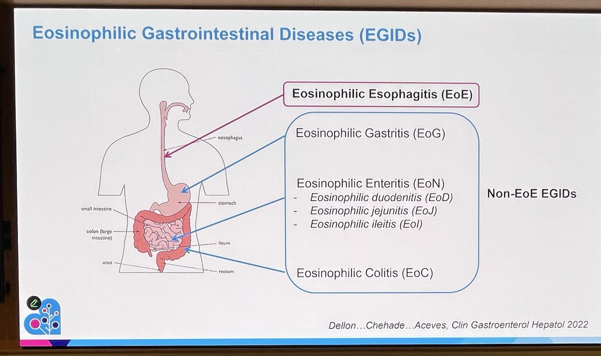 Michael Cabana, MD tweet media