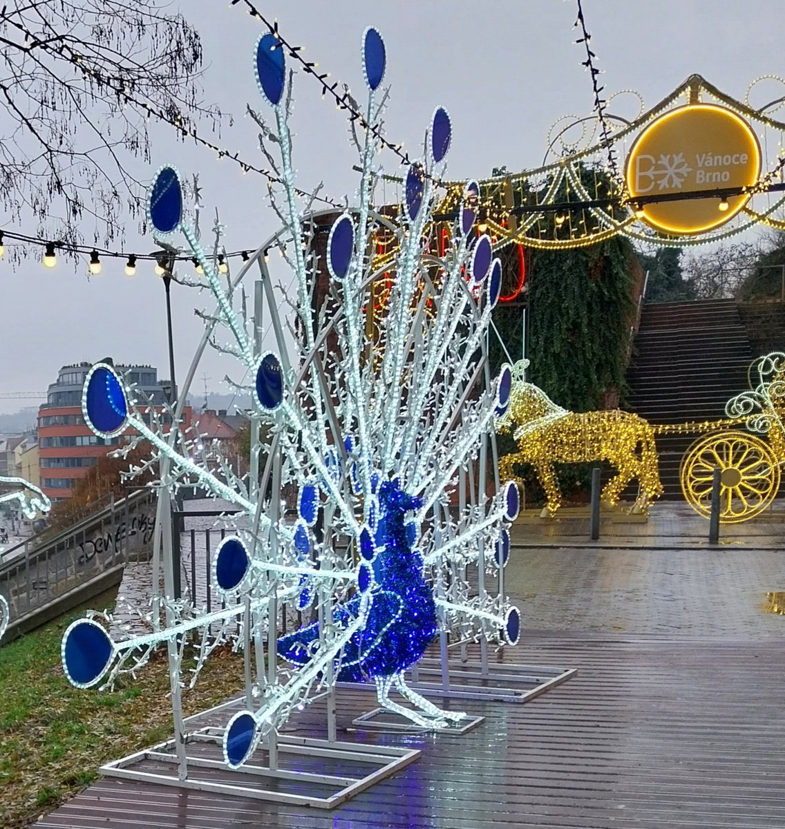 Radmila Kourilova (@radmila_slecpa) on Twitter photo 