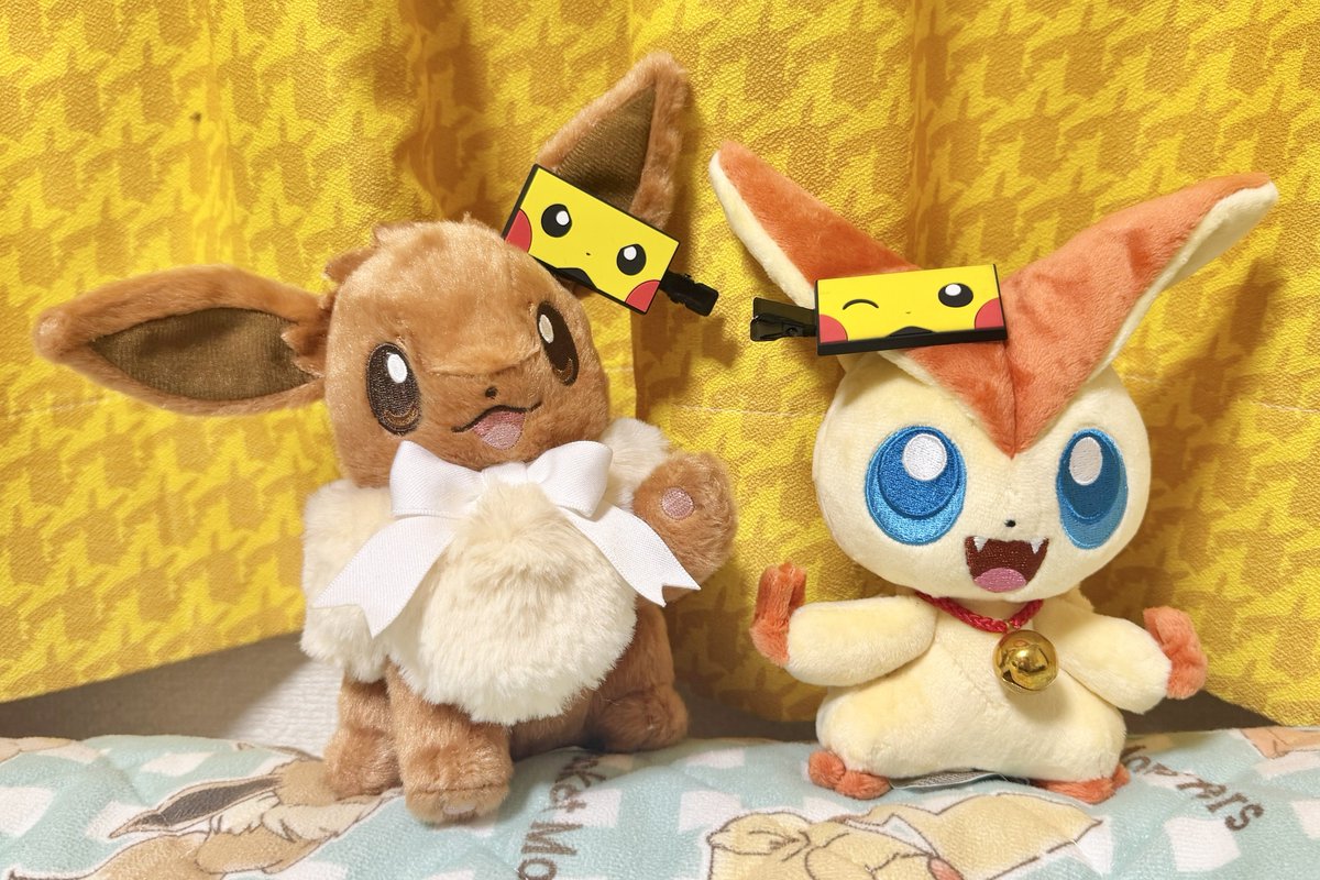 だい ほっしー⭐️ (@dai_hoshi0316) / Posts / X