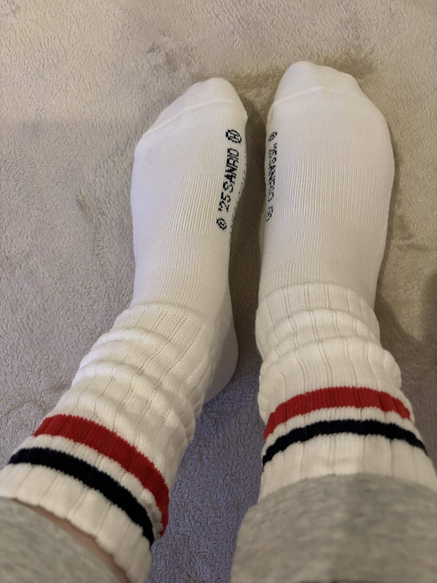 しなもん@平SFC✈ (@CinNaMonnSan06) / Posts / X