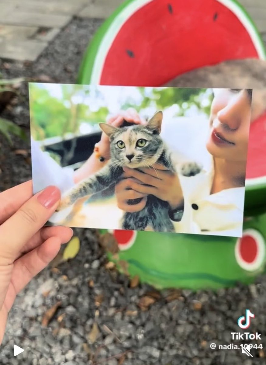 _guinguin's tweet image. ไม่เอนจอยเท่ากับตอนอยู่กับพี่ดารา😭🥹🫶🏻