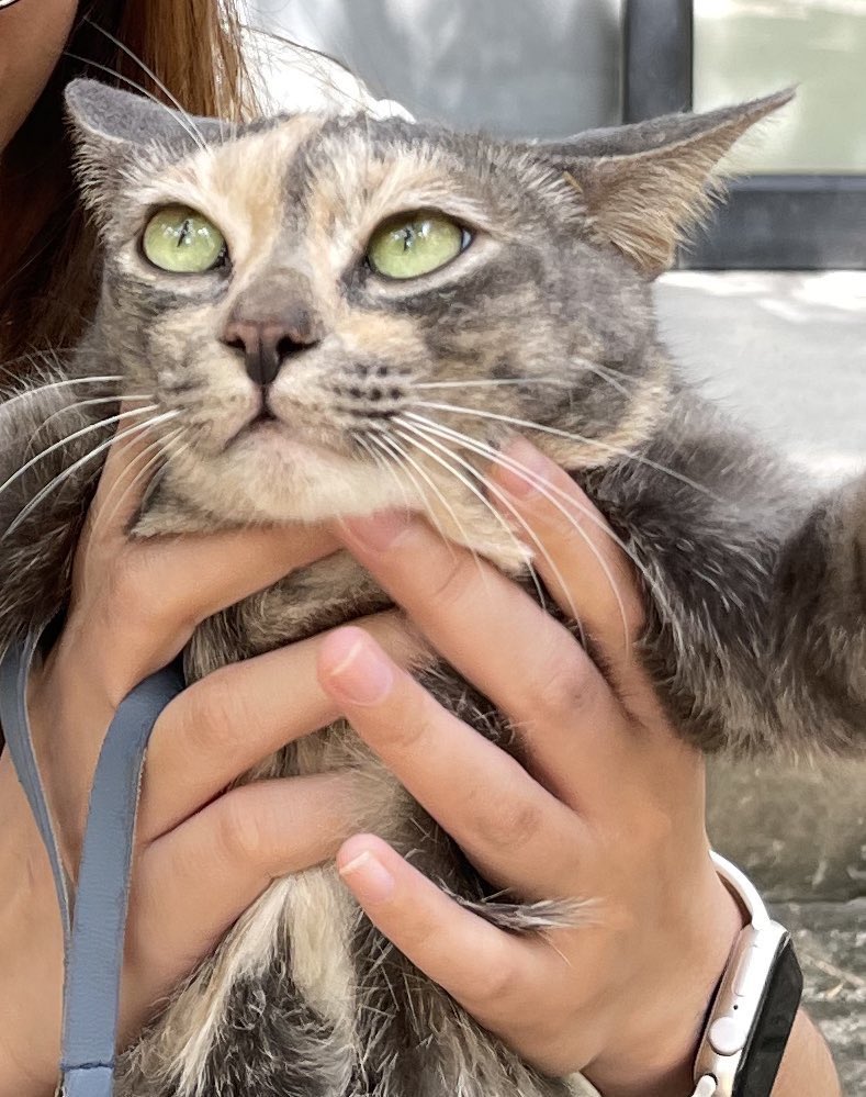 _guinguin's tweet image. ไม่เอนจอยเท่ากับตอนอยู่กับพี่ดารา😭🥹🫶🏻