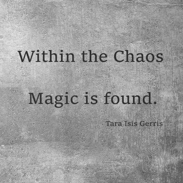 thematrixwizard's tweet image. 