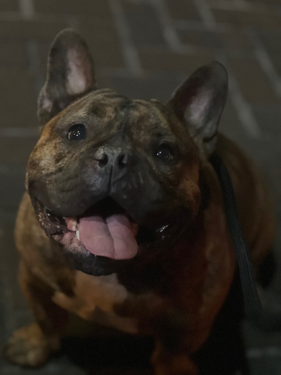 Matthew Wollenweber (@mwollenweber) on Twitter photo 