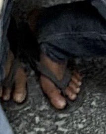 संविधान दिवस का मजाक बना दिया सरकार ने मंजीत<a href="/ghoshi_manjeet/">Manjeet Ghoshi</a> को भेजा तिहाड़ जेल😡

•  जैसे ही मंजीत का केस नंबर आया, मुझे और  मंजीत के भाई को कोर्ट रूम से बाहर निकाल दिया गया।

•  जमानत अर्ज़ी खारिज होने के बाद मंजीत ने अपने भाई लक्ष्मीकांत से आखिरी बात की।

•  उसने अपनी साधारण