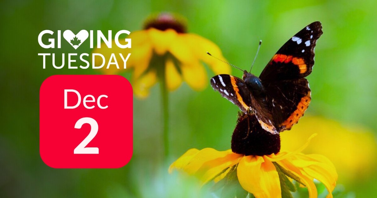 Toronto and Region Conservation Foundation tweet media