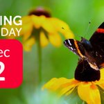 Photo by Toronto and Region Conservation Foundation (@TRCFDN)