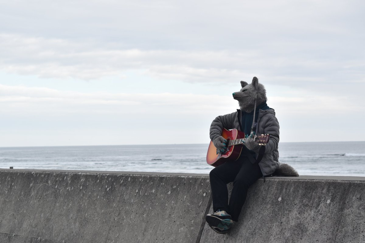 #FursuitEveryday
#こいと写真館
#こいとっと