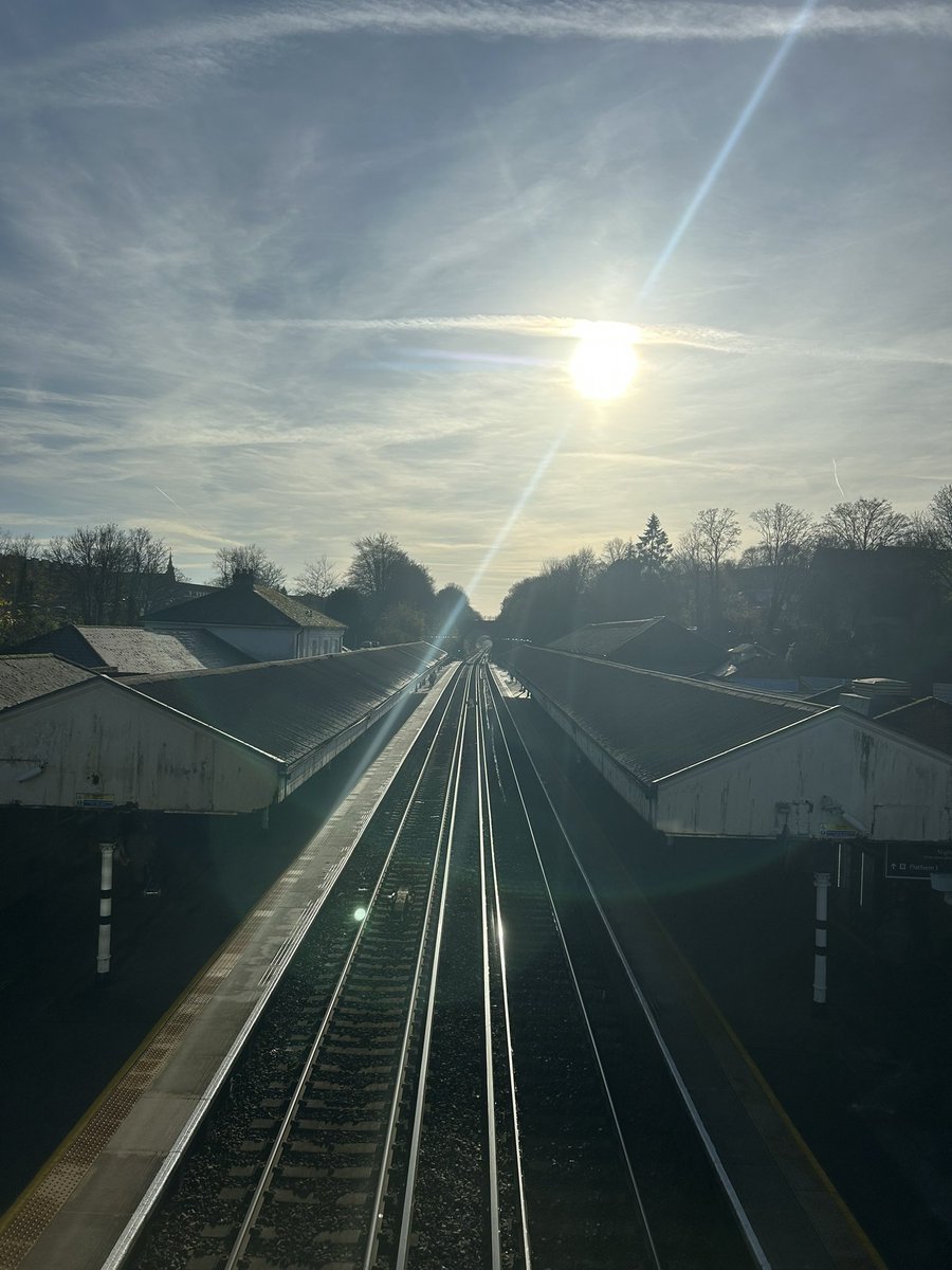 Peter Brennan tweet media