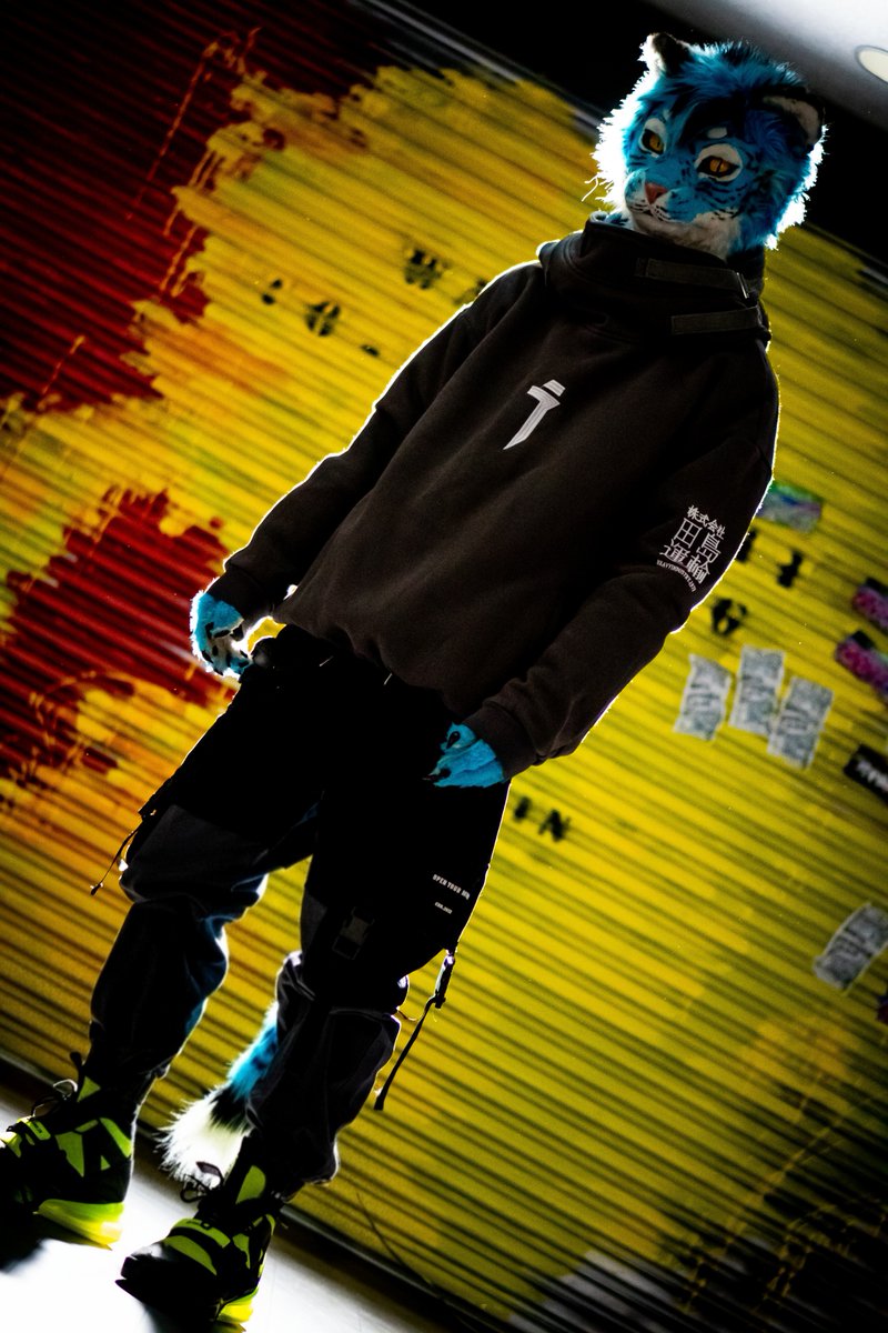 しろくま (@Shirokuma_4GLTE) / Posts / X