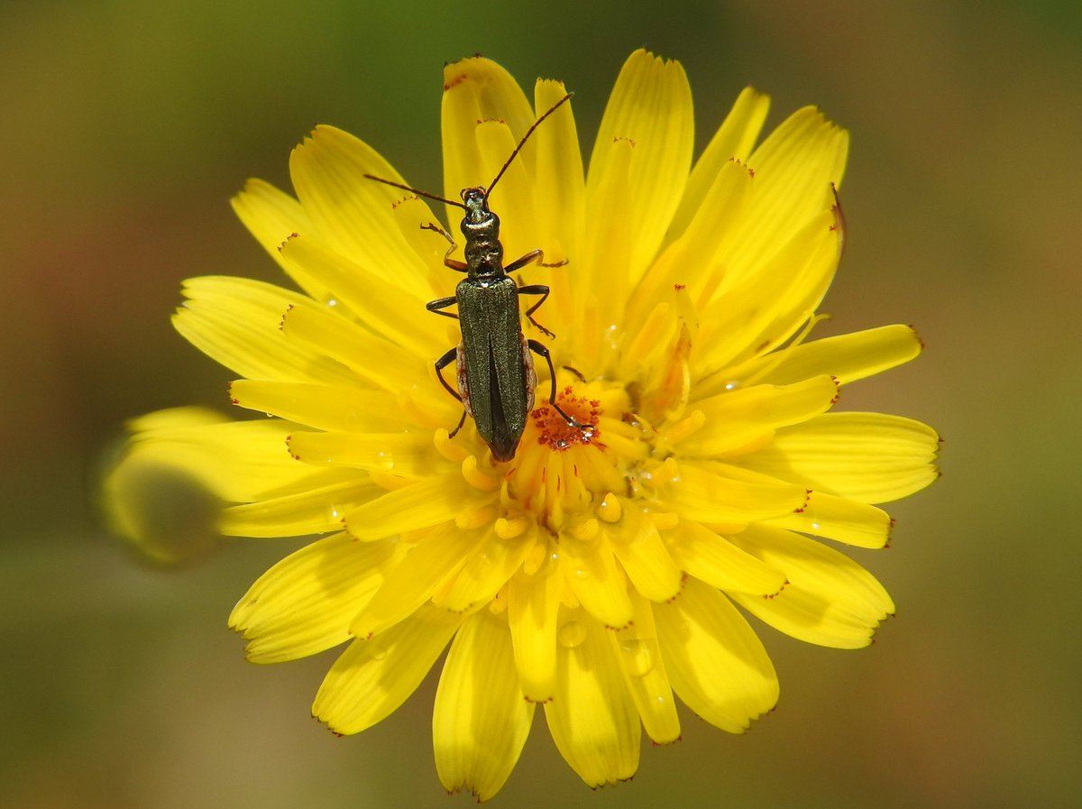 J@a.p (@jose_ap19) on Twitter photo 