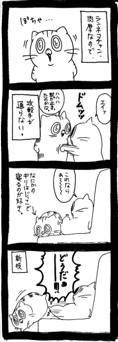 新技 