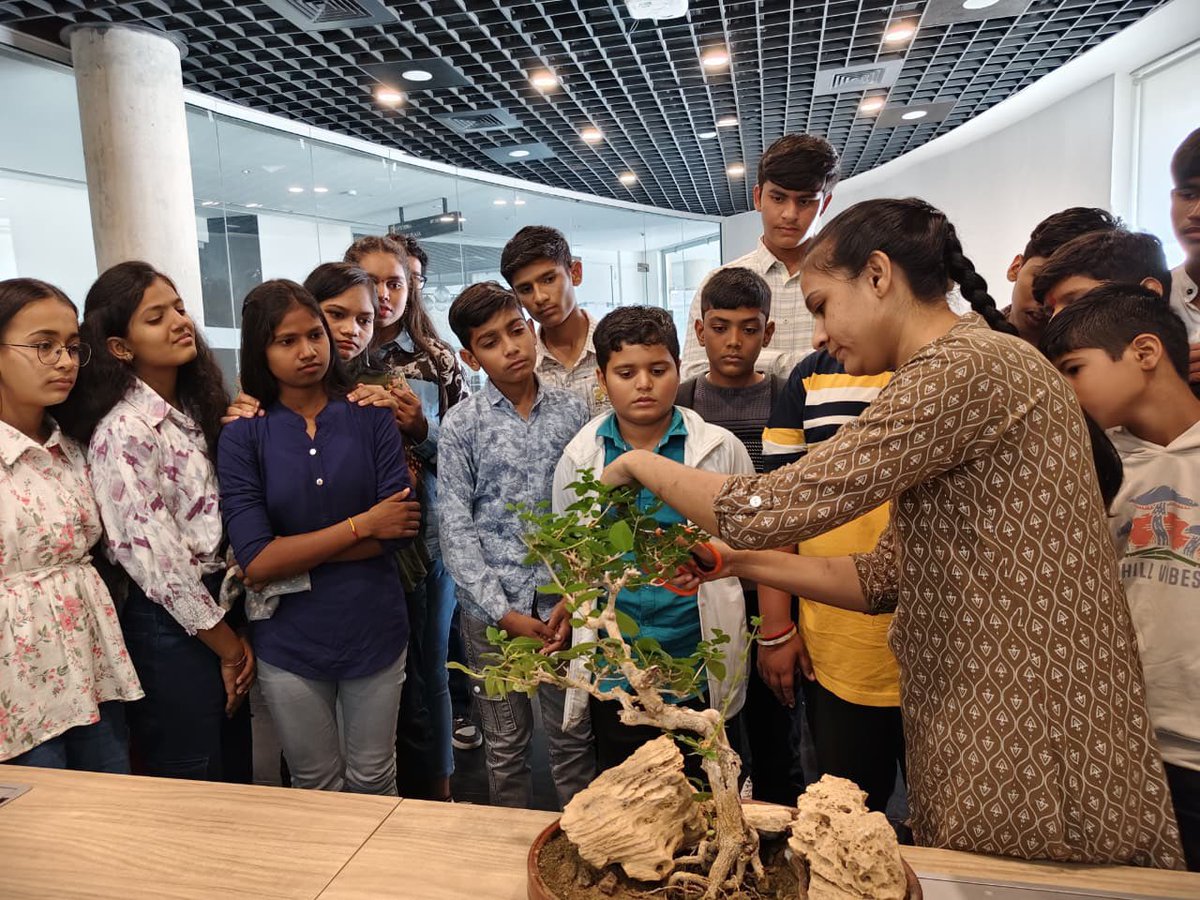 RscBhuj's tweet photo. A wonderful learning day @RSCBhuj
Students attended the Bonsai Basic Workshop and discovered patience, art, and green creativity. 🌱
#RSCBhuj #BonsaiBasics https://t.co/jeesqllnh9