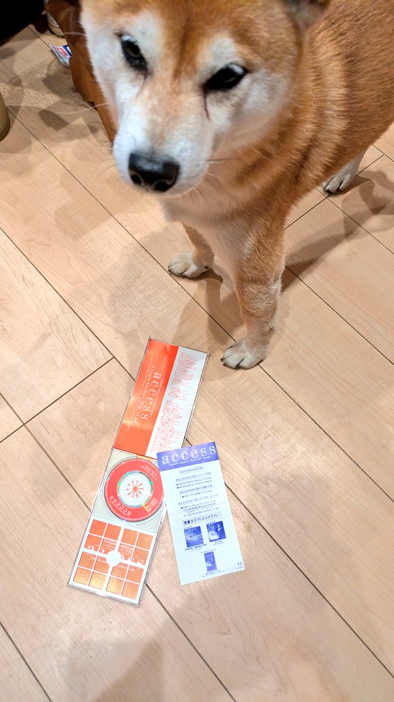 あの日の私、受験勉強しながらラジオ聴いていた事( *˙ω˙*)و ｸﾞｯｼﾞｮﾌﾞ!!

～♪  ( ﾟдﾟ)ﾊｯ!
やだ…何この衝撃💥

すごいターニングポイントでした

ε٩(๑>ω<)۶зもぅっ💢
なんなのっ 
二人の奏でる魔法は？！
一生とけないじゃないっ

最高ﾃﾞｽ
ありがとう
#access33rd
#access33周年