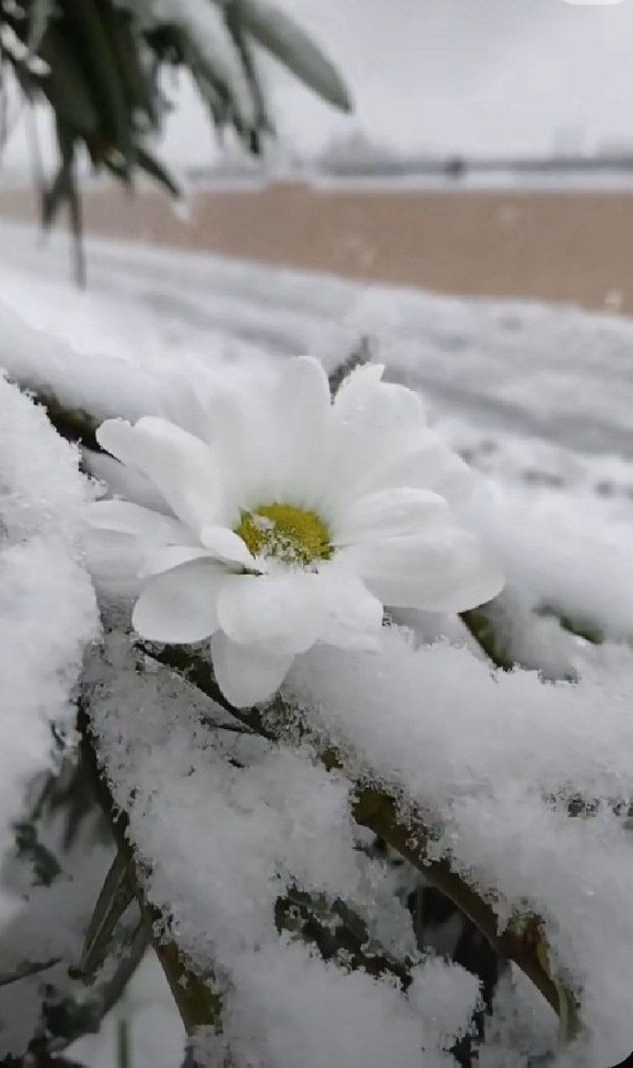 "عظِّموا أنفسكم بالتغافُل"