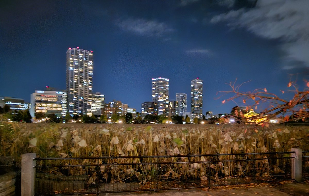 ①今日は仕事帰りに御徒町や上野に行ってきました🐼
②③色々ゲットできて一安心…
④不忍池の周りにはいつのまにかこんなにタワマンが建っていたのね😅

何やらキラキラ✨と出店たくさんで、もっとゆっくり見て居てビールでも飲みたかったな
でも早く帰って母とワンコにご飯のしたくしなきゃね😙