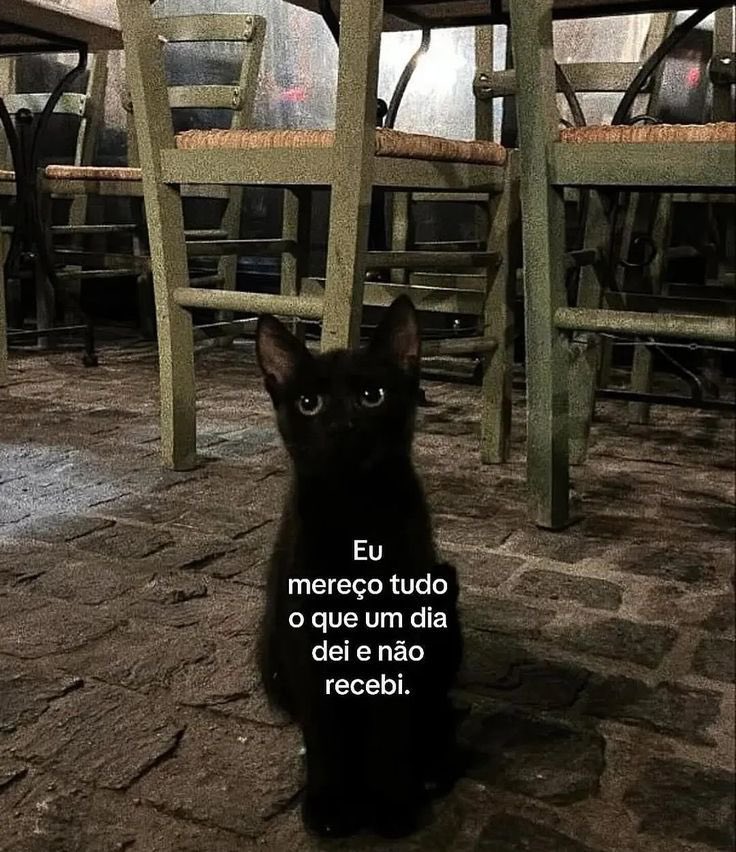 paginalixo1's tweet image. 