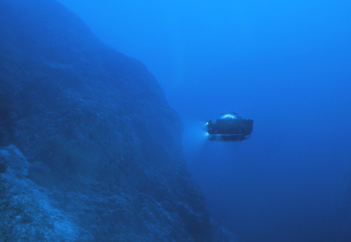 smartyrajesh513's tweet image. 🌊 Scientists exploring deep ocean (&amp;gt; 6000 m) recently just gave up 14 new species — from carnivorous shells to parasitic isopods. Reminder: we’ve explored &amp;lt;1% of the deep sea. #Biodiversity #Ocean”