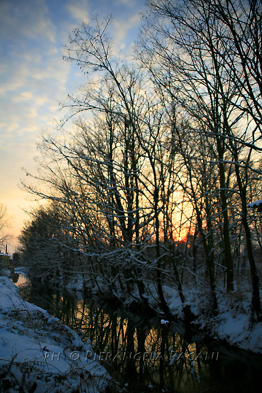 @ferrarisergio4 tweet media