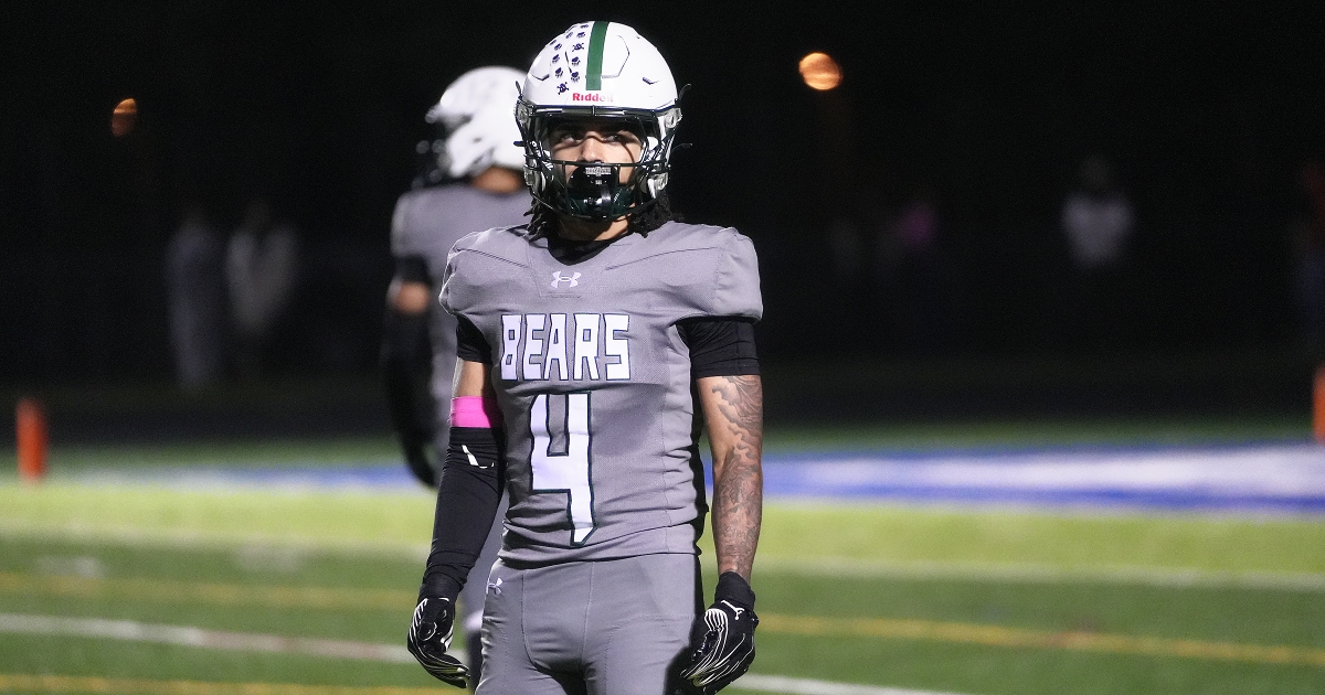 Will Vapreps Garlick tweet media