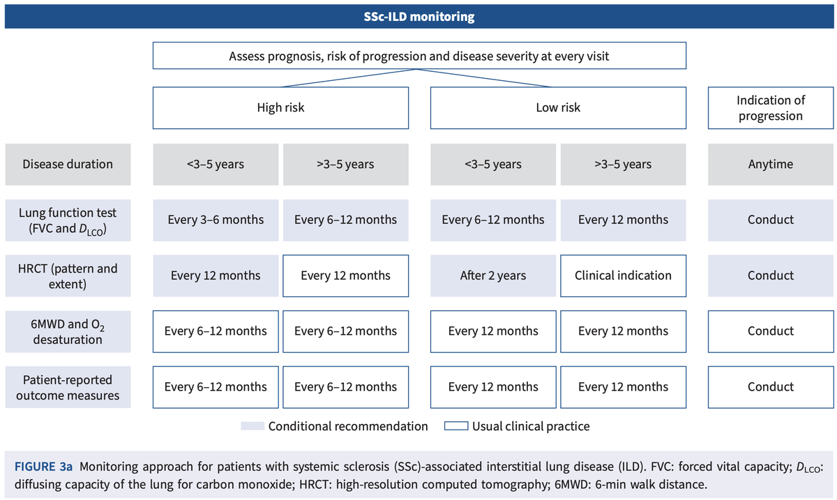 joraltron's tweet image. SSc-ILD, RA-ILD, IIM-ILD, other CTD-ILD monitoring