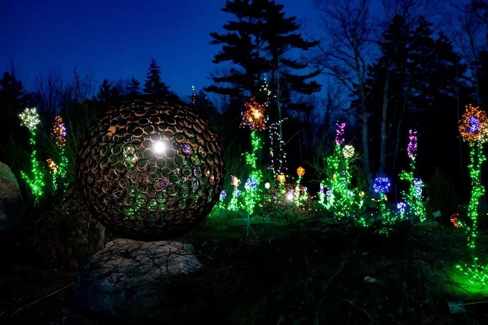 lumileds's tweet image. Maine&apos;s Coastal Botanical Gardens are brightening up @TownofBoothbay 🎄

📏 Pathways filled with 750,000+ #LEDs
💡 3D-printed critters &amp;amp; massive wooden trolls
🌿 Sustainable, renewable-energy-powered displays

Step into Maine’s Gardens Aglow via @949WHOM: bit.ly/48dvxqx