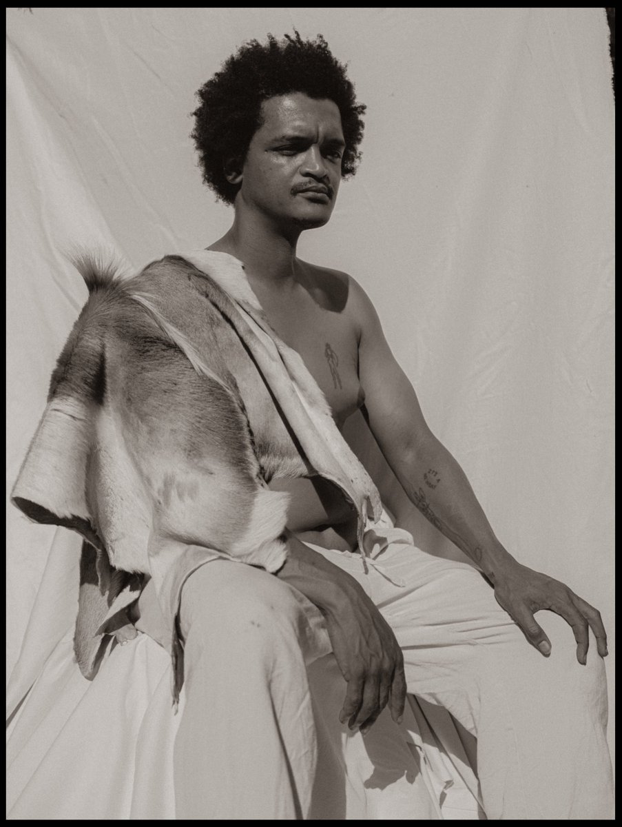 Angelika Kollin tweet media