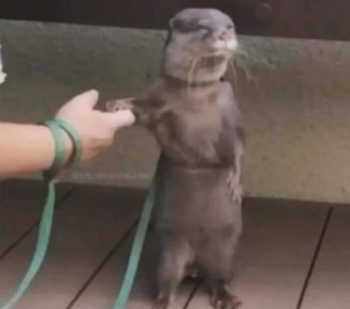 V_A_D_D_I_C_T's tweet image. When you accept the apology but you&apos;re still angry. 😂