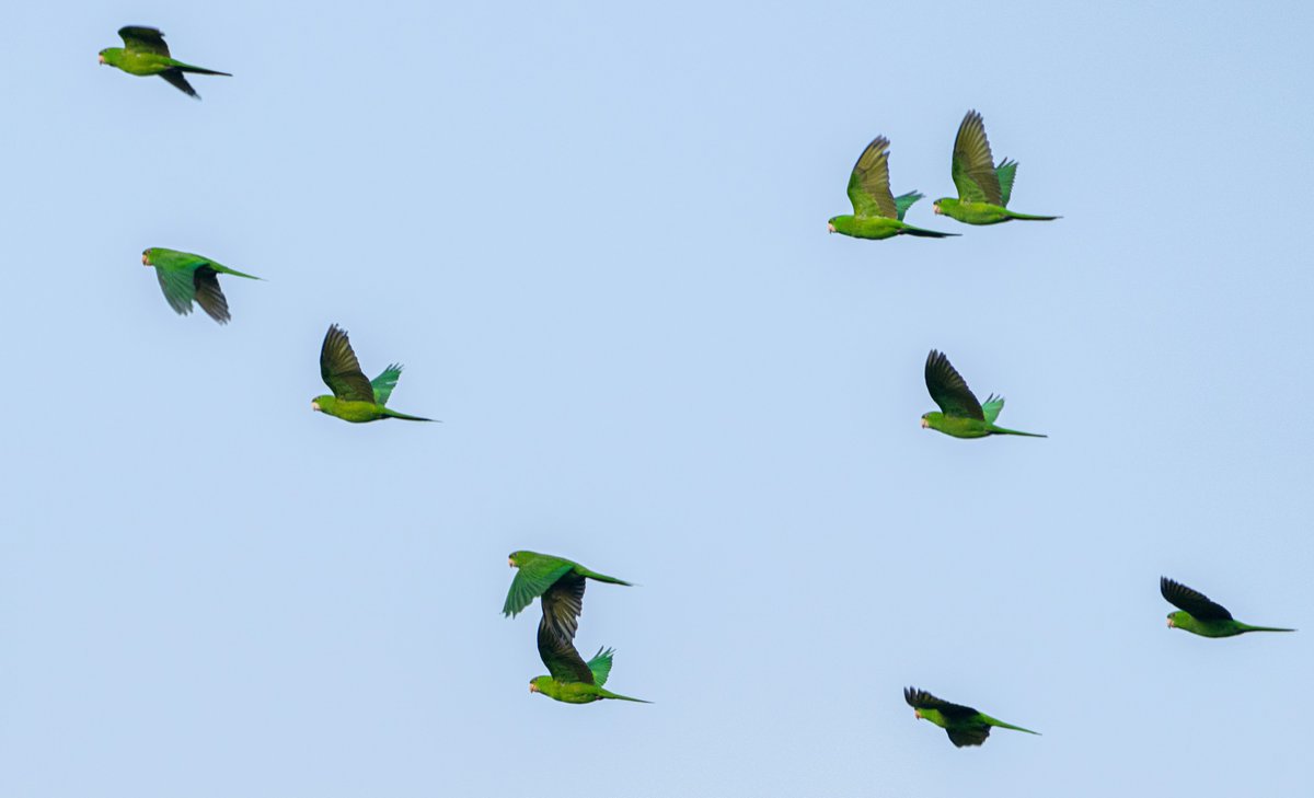 Labiataa's tweet image. Livres

#photography 
#fotografia