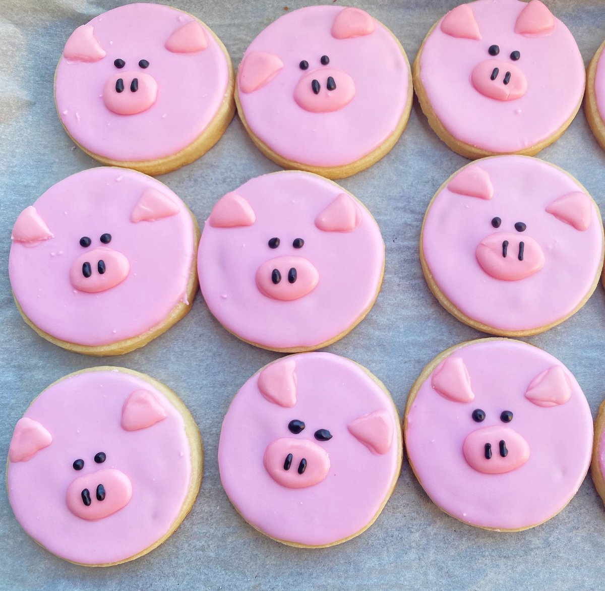 kissyxtoes's tweet photo. good morning piglets https://t.co/ZziLzXaysO