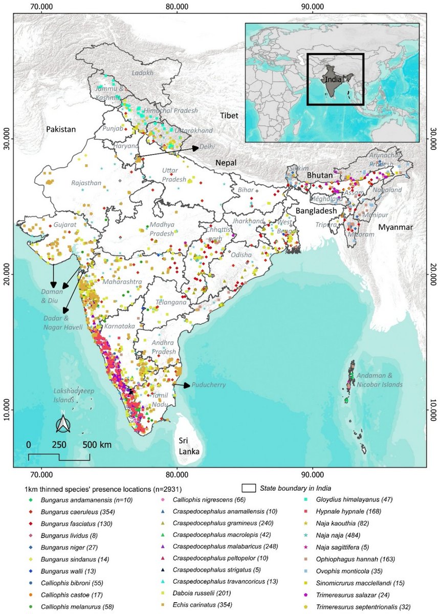 SciReports's tweet photo. Climate change triggering shifts in venomous snakes hotspots and snakebite risk in India https://t.co/V6tGSTTQCl https://t.co/xe02HidczH