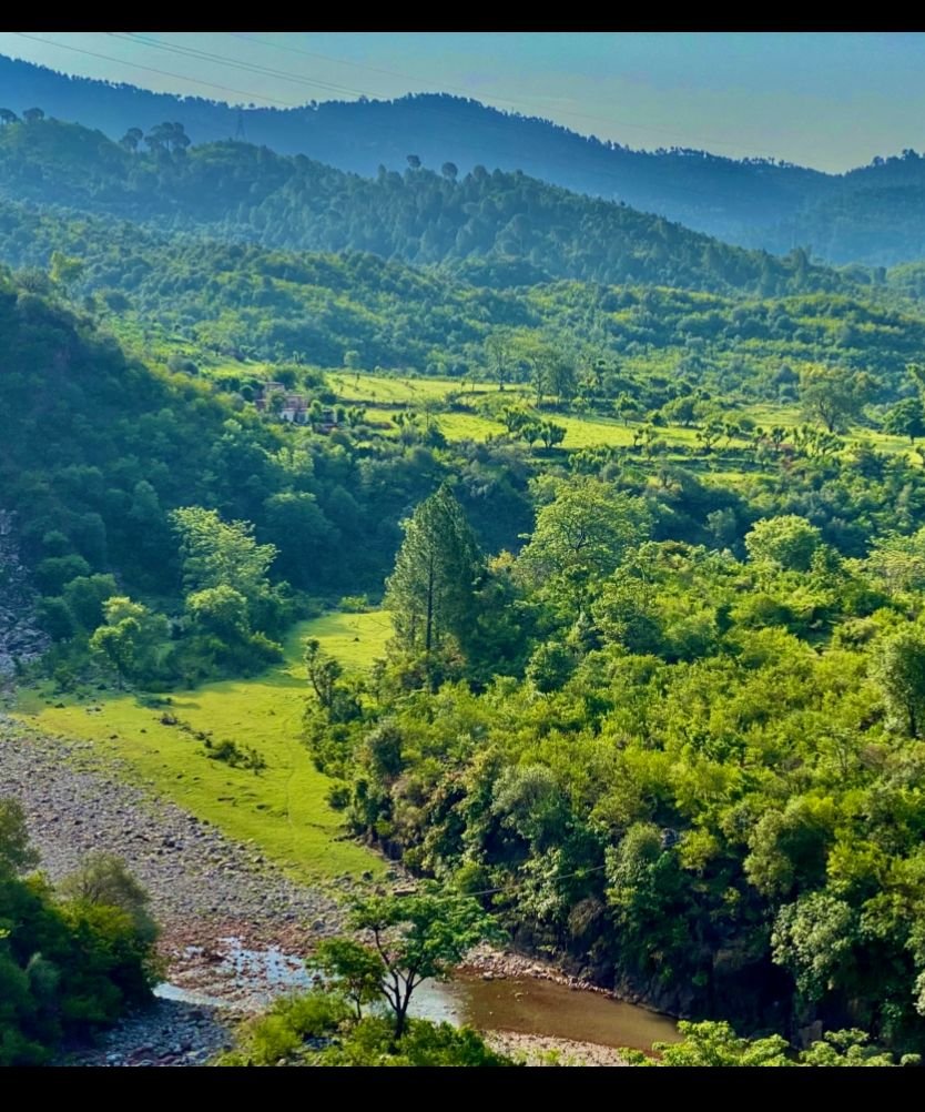 Dr Areej tweet media