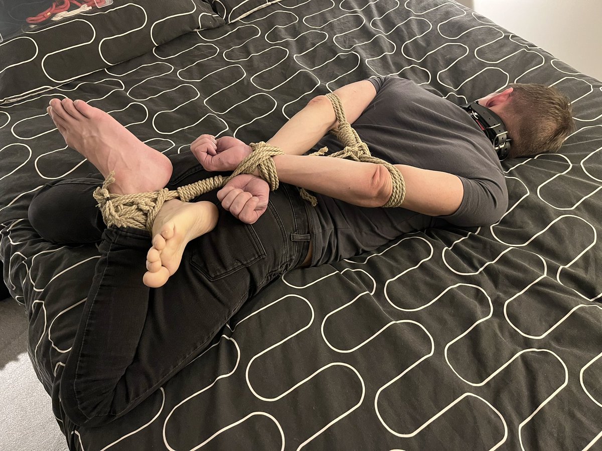 seaturtle86 tweet media