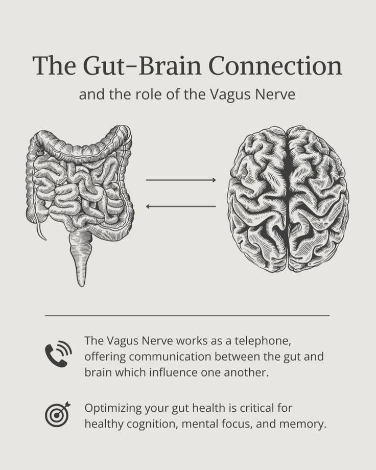 neuronpowers's tweet image. The gut-brain connection