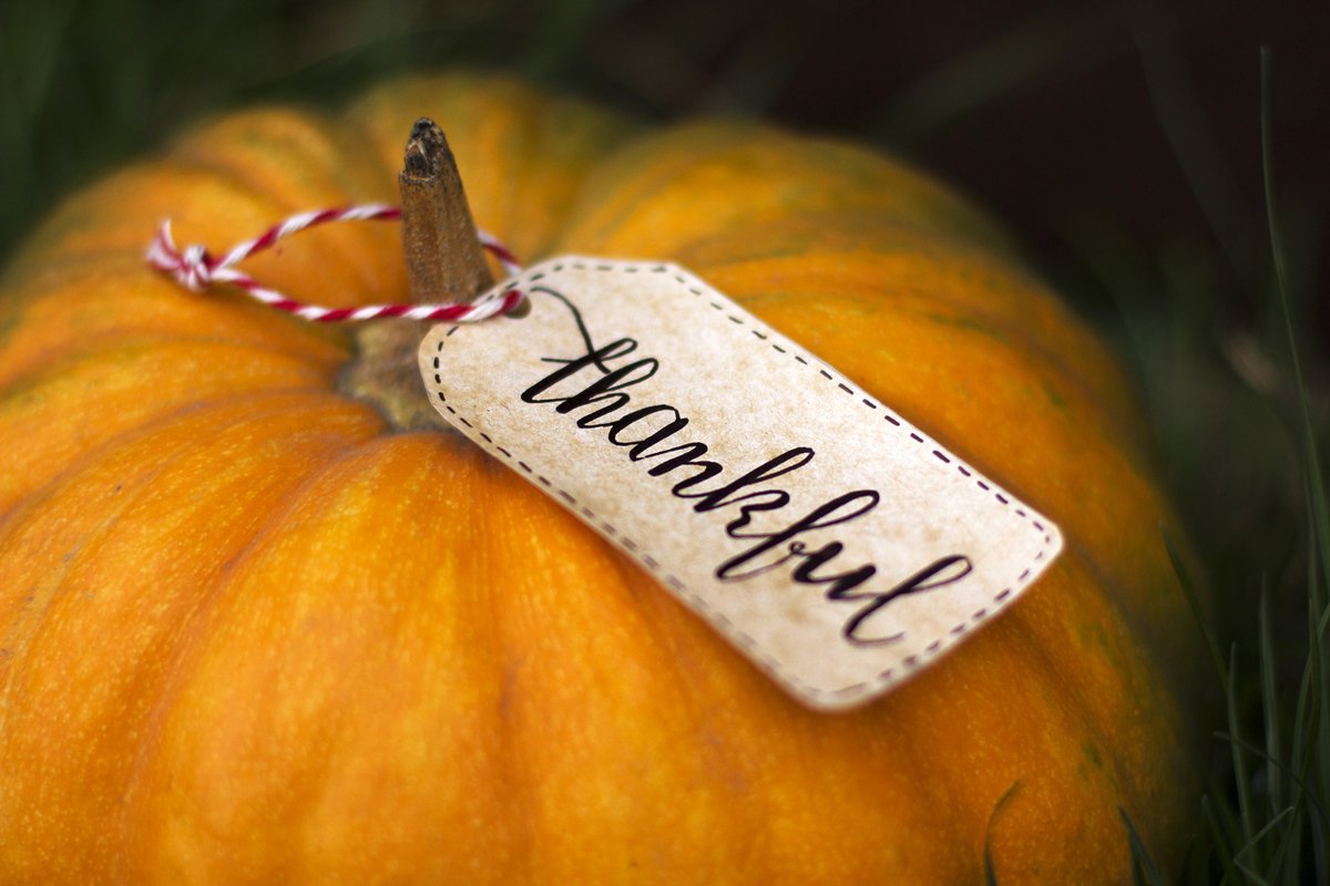 WWLinitiative's tweet photo. At Work Without Limits, we appreciate our incredible colleagues, dedicated partners, and the amazing individuals we have the privilege to serve. Thank you for inspiring us every day and for making our mission possible.
Wishing you all a joyful and Happy Thanksgiving! https://t.co/VRjGJkrhue