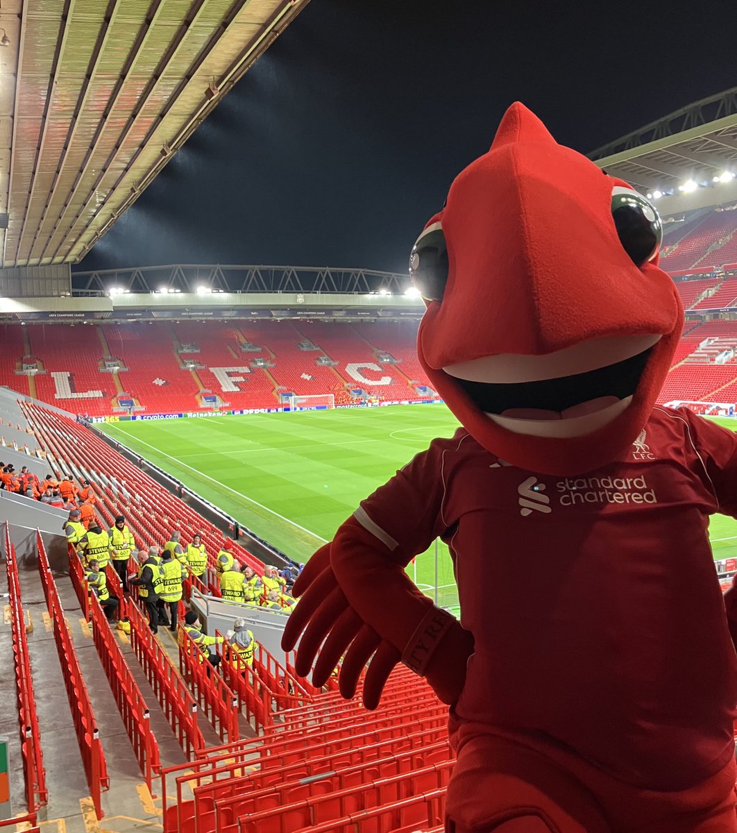 The Reds host PSV Eindhoven under the lights at Anfield 💫
Follow this active reds and drop your predictions
<a href="/DutchMaestro/">𝐉𝐢𝐫𝐨. ³⁸ Not @RGravenberch</a> 
<a href="/abaliverpool/">Miss Amponsah ❤️</a>
<a href="/m_ani786/">Imran #YNWA</a> 
<a href="/lapablo/">Pablo Bernet</a> 
<a href="/FlorianFocus/">FlorianFlicks</a> 
<a href="/flowersgod/">flowersgod</a> 
<a href="/Lfc_samie/">𝐒𝐚𝐦𝐦𝐢e</a> 
<a href="/SamueILFC/">Samuel</a> 
<a href="/MaleekSpmbot13/">Timi✨❤️</a> 
<a href="/Jaay02076311607/">Jaay</a> 
<a href="/Melodicish/">M e l o d i e</a> 
<a href="/b4benzema/">benzemaLFC</a>