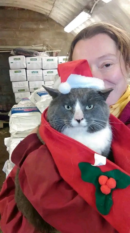 RuthvanZalinge's tweet image. #throwback #santapaws
Eton did it best
