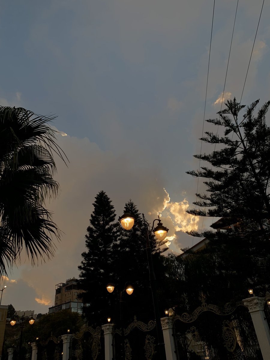 سبب حبي للجنوب 🌳🌱🌿🌴☘️