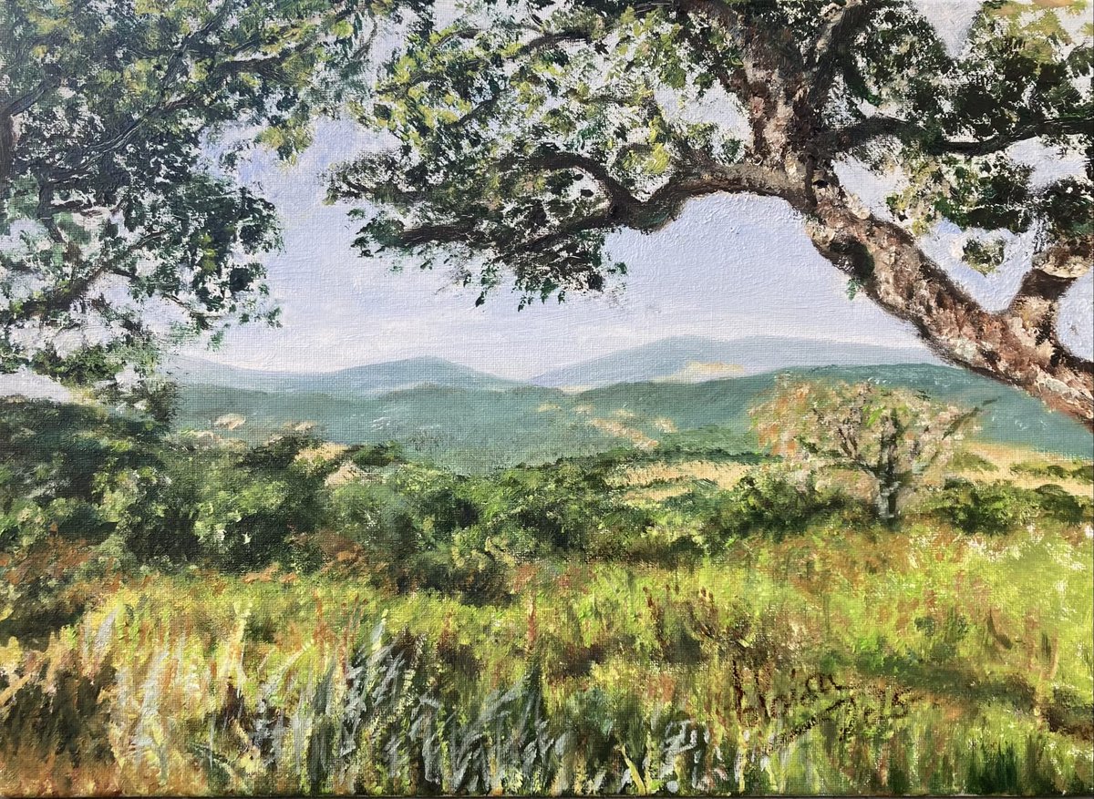 ArquiExt_COADE's tweet image. Hoy en Badajoz:

Inauguración de la Exposición ‘Dehesa extremeña y la riqueza de sus paisajes’ de Eloísa Terrones.

Organizado por:
@infra_EXT y @ArquiExt_COADE 
#XIVSMAex