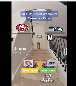 PresBNSUD's tweet photo. @OverDrive1050 @FanDuelCanada @HayesTSN @odognine2 @LWillson_82 @jamiemclennan29 @mickey_canuck Can O'dog do this? https://t.co/fx02uRyw2T