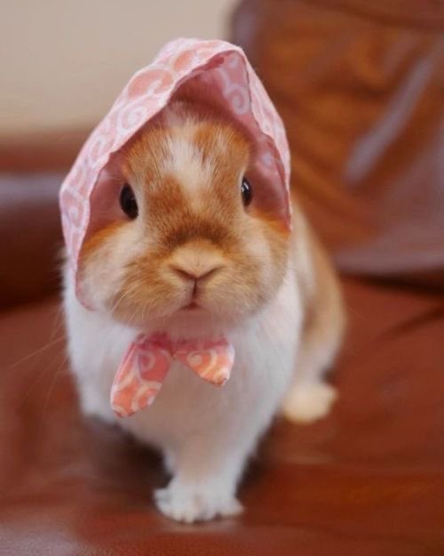 nampunny's tweet photo. 𝝔ᥫ᭡ #nampingster https://t.co/oHRVkT1Zlz