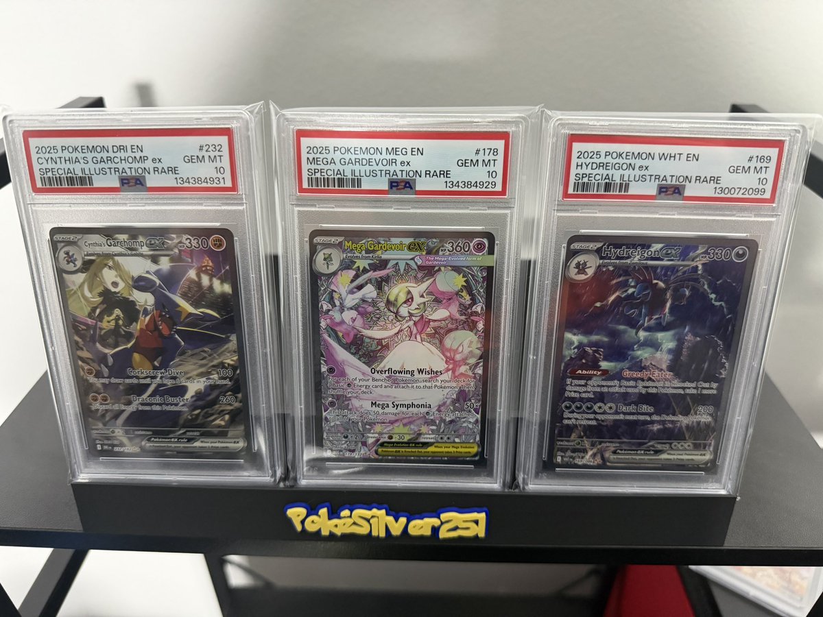 PokeSilver251 tweet media