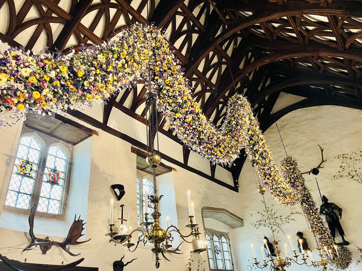 Amy Savage tweet media