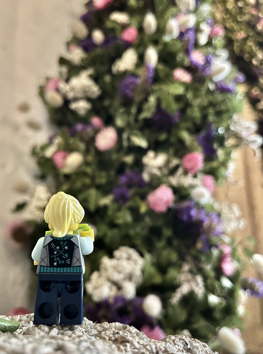 Amy Savage tweet media