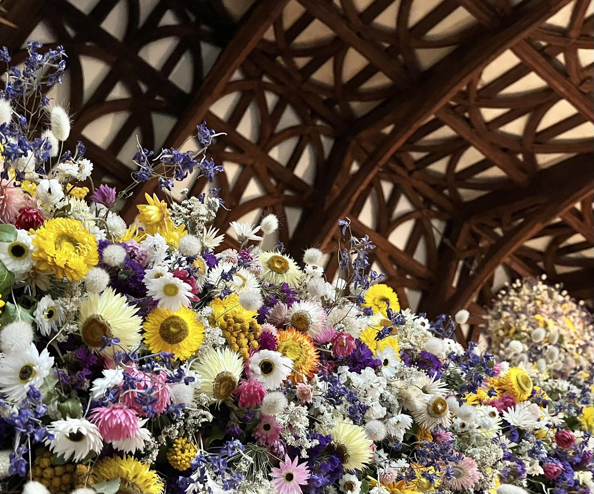 Amy Savage tweet media