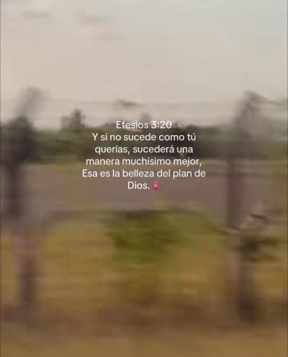 El Salmista tweet media