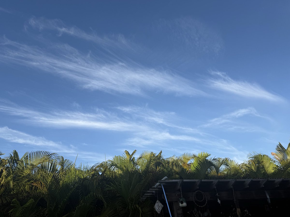 LaShonLuv1's tweet image. Brevard County FL 🤮