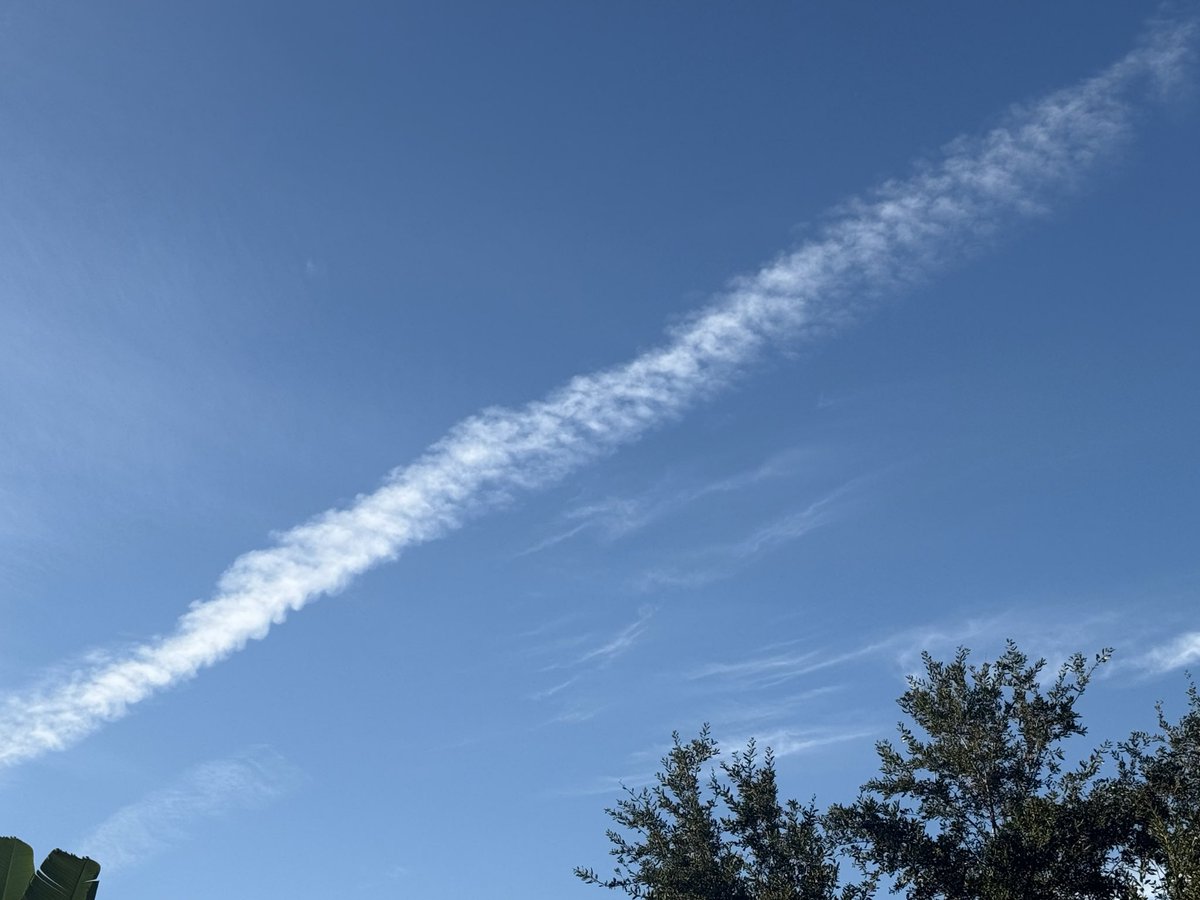 LaShonLuv1's tweet image. Brevard County FL 🤮